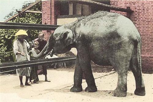 Điểm tham quan thú vị Thảo cầm viên  